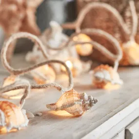 10 Seashell Fairy Lights