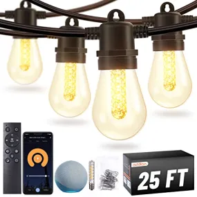 addlon Smart Outdoor String Lights