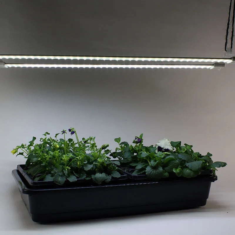 Cosmorrow LED Grow Lights