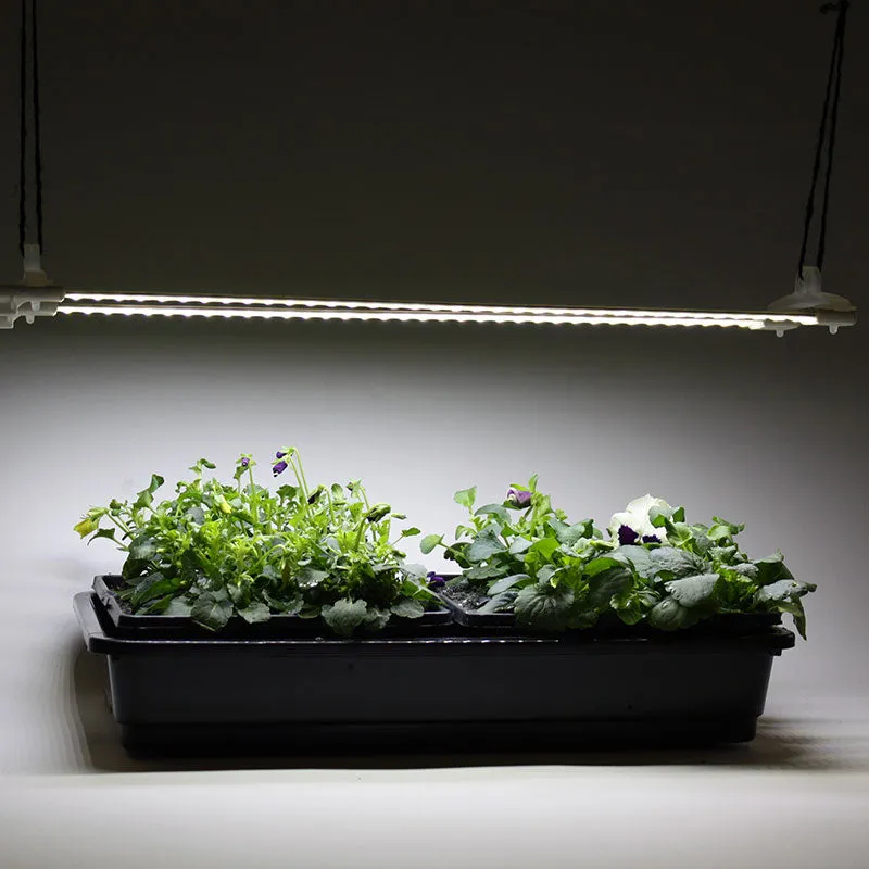 Cosmorrow LED Grow Lights