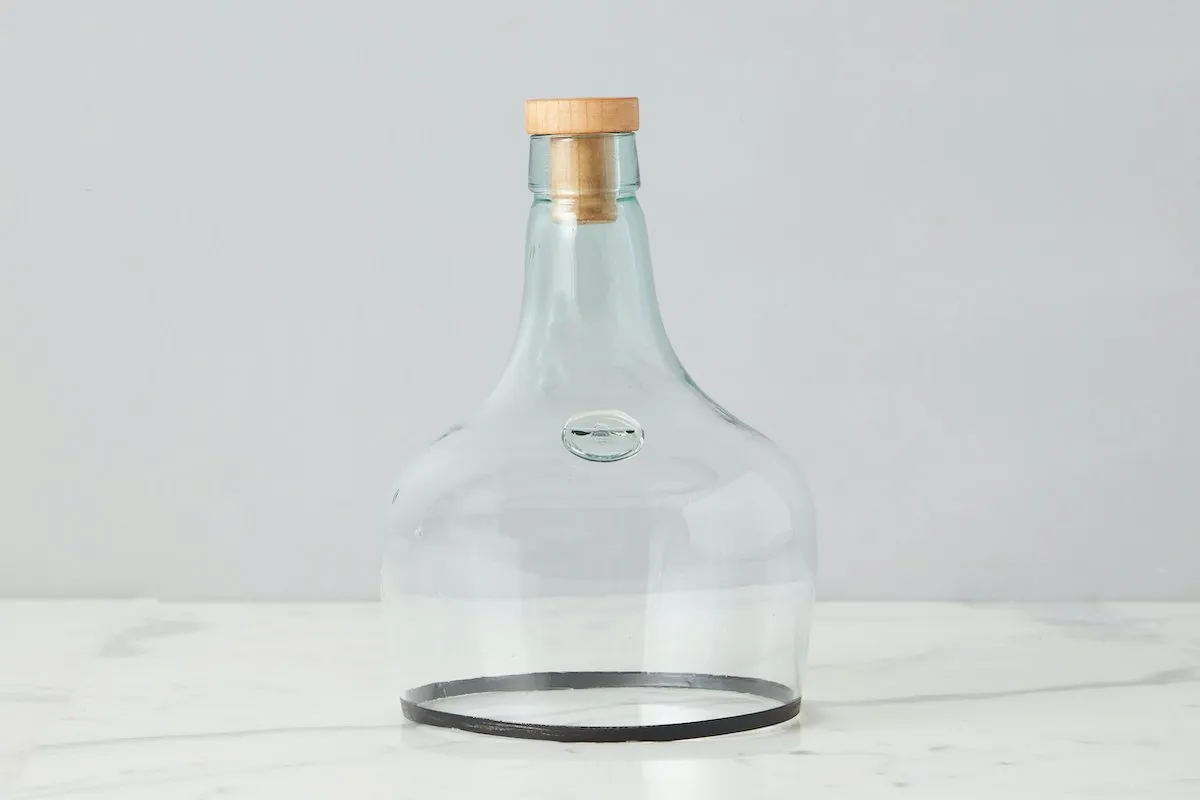 Demijohn Cloche (Small)