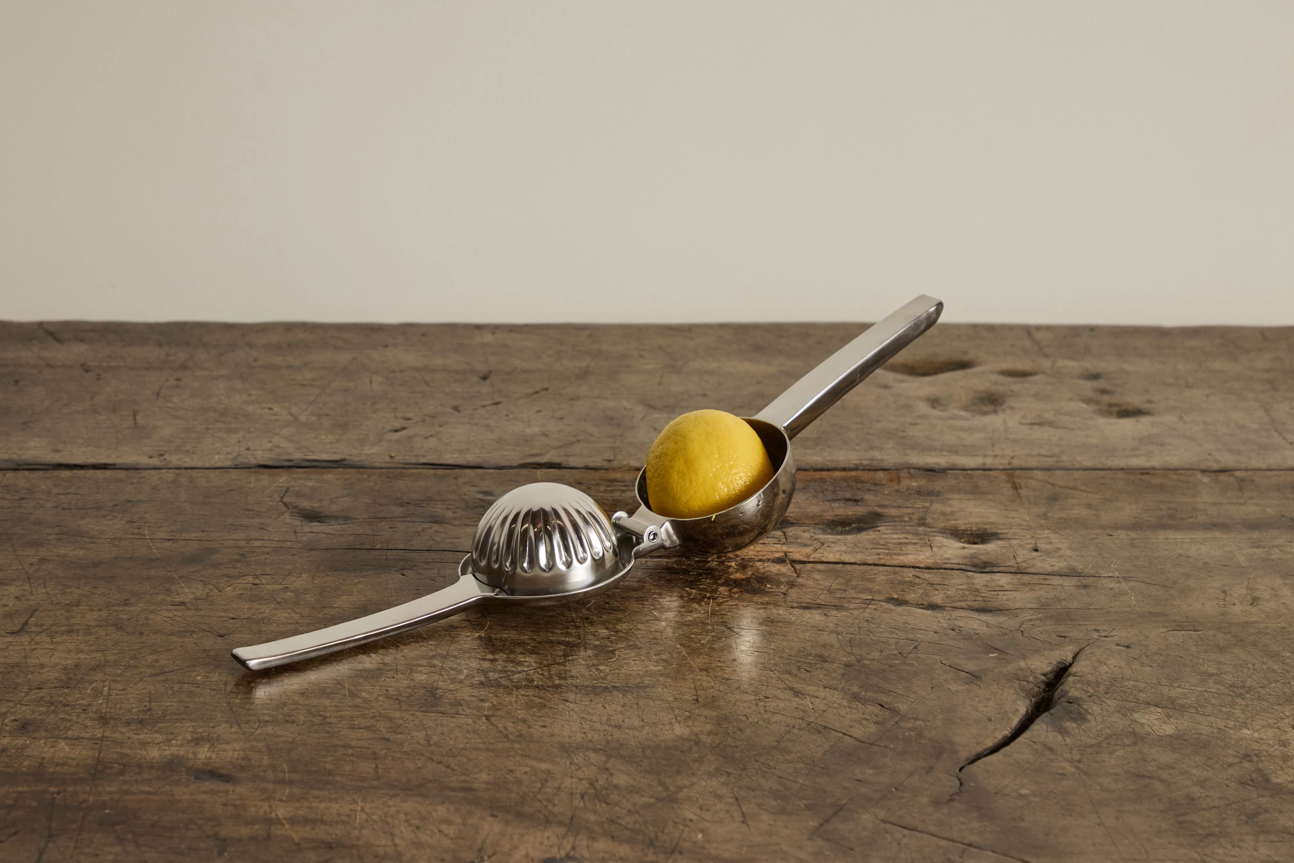 Stainless Steel Citrus Juicer