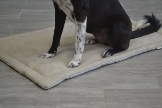 Unique HEMP pet mat carpet filled HEMP Fiber/dog mat pad/ cat mat/organic dog mat pad/organic cat/ pet blanket